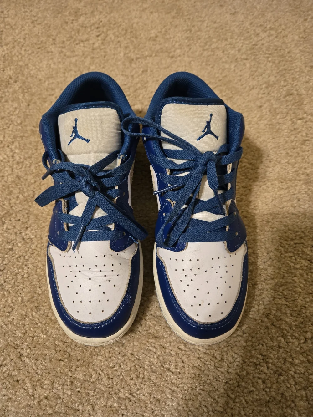 Nike Air Jordan 1 Low in the 